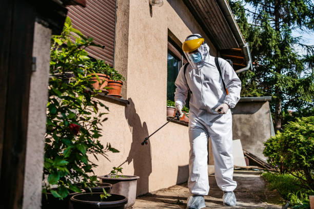 Best Insect Control  in Hicksville, NY