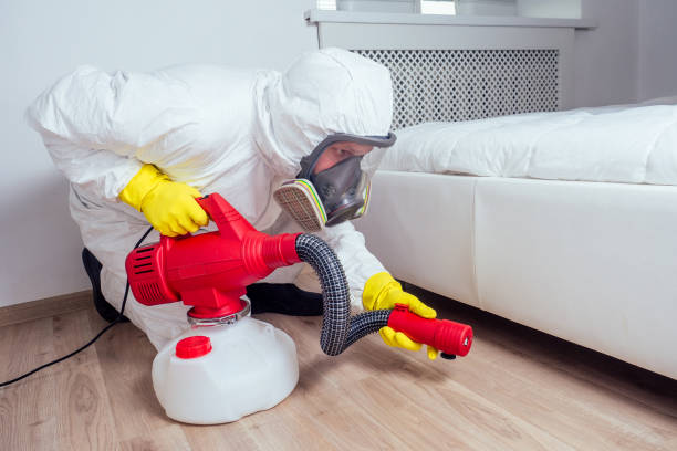 Best Local Pest Control Services  in Hicksville, NY