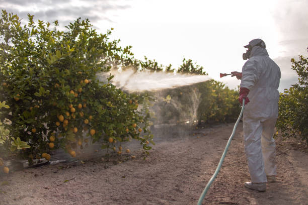 Best Pest Inspection Near Me  in Hicksville, NY