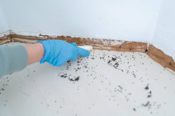 Hicksville, NY Pest Control Company