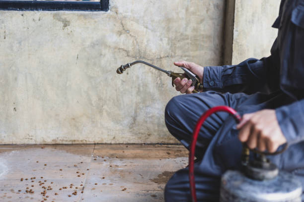 Best Pest Control for Homes  in Hicksville, NY